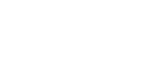 New Team Project